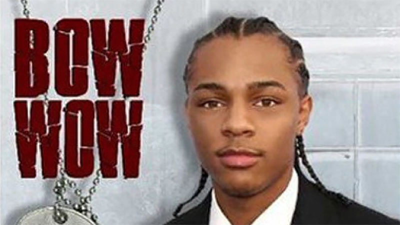 Bow Wow: Dog Tag & Papers Included