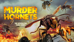 Murder Hornets