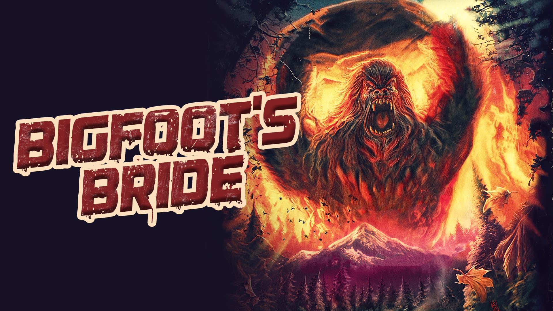 video-section-banner-image